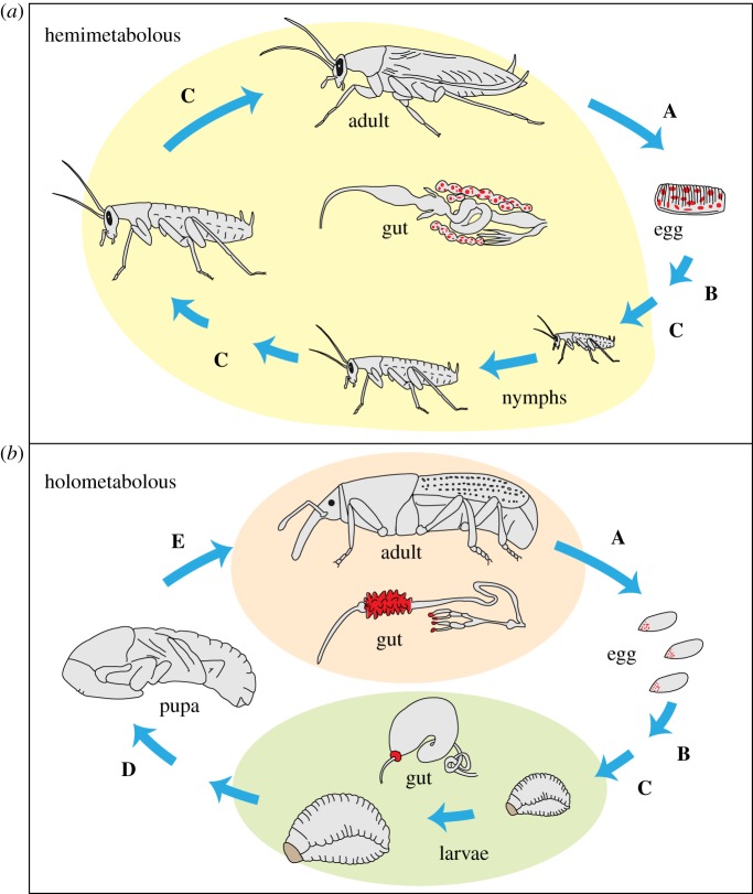 Figure 1.