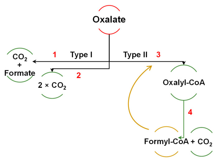 Figure 8