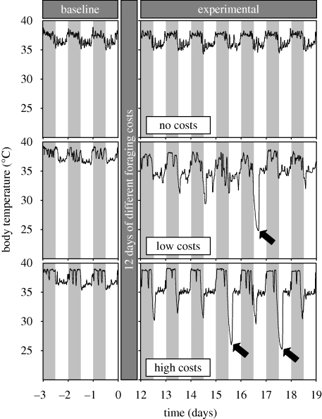 Figure 1.