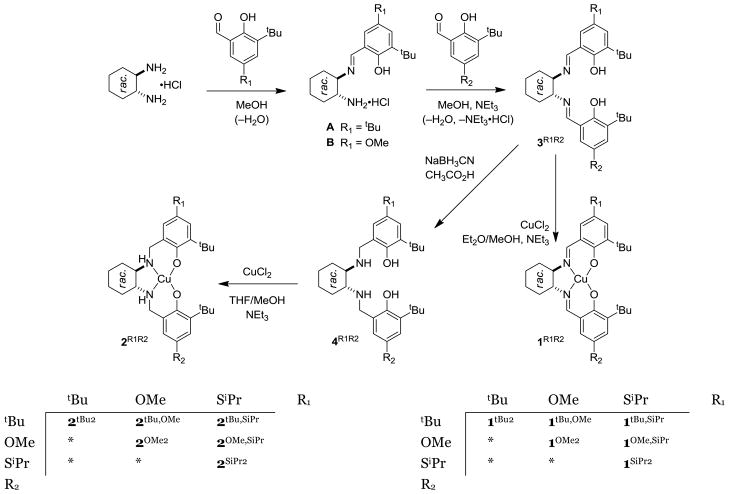 Scheme 3