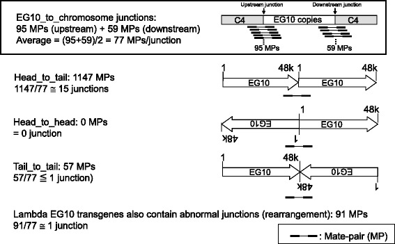 Fig. 9