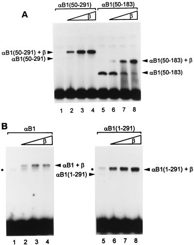 FIG. 5