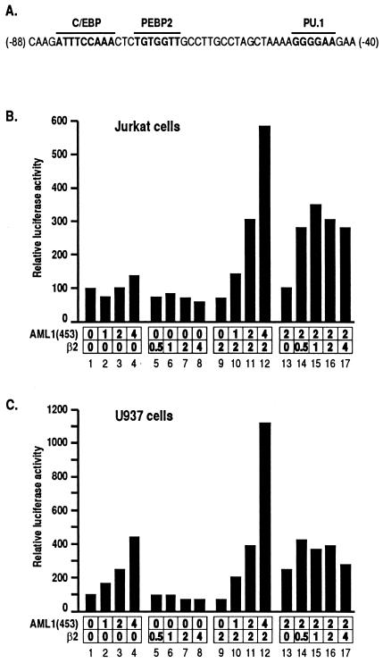 FIG. 1