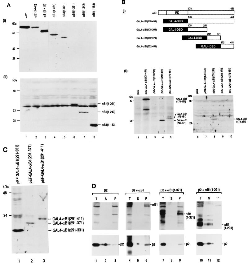 FIG. 6