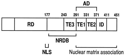 FIG. 7