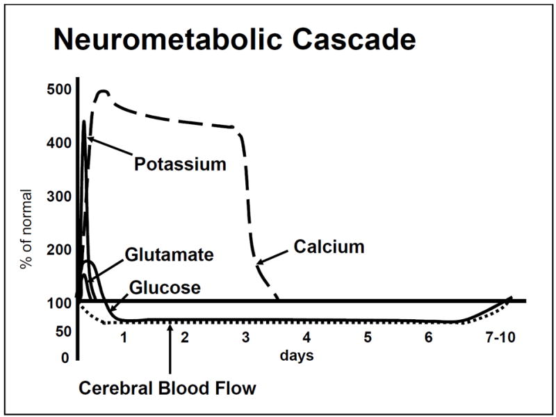 The New Neurometabolic Cascade of Concussion - PMC