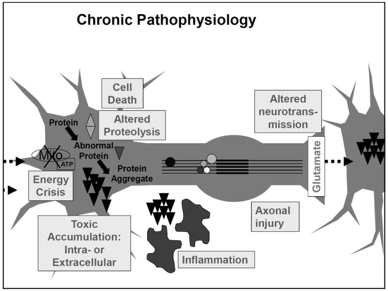 The New Neurometabolic Cascade of Concussion - PMC