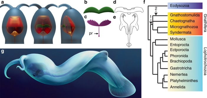 Fig. 6