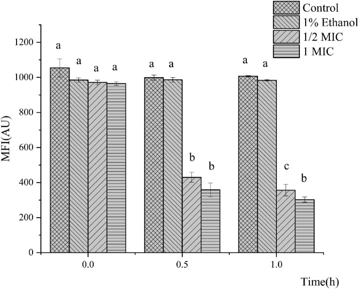 FIGURE 3