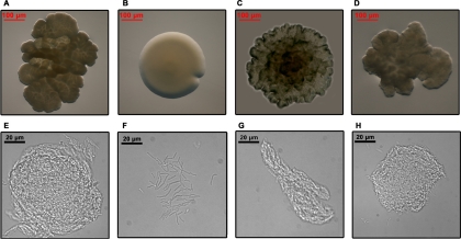 FIG. 5.