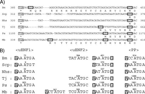 FIGURE 7.