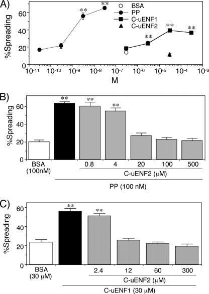 FIGURE 9.