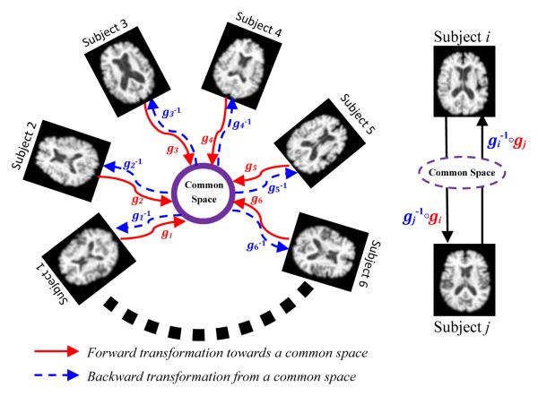 Fig. 1