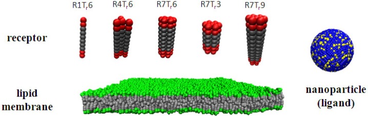 Figure 1.