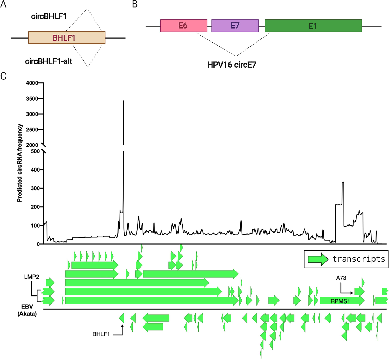 Figure 3.