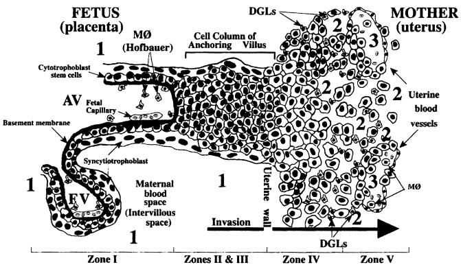 FIG. 3.