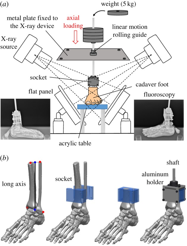 Figure 1.