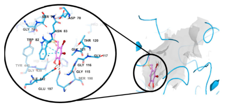 Figure 10