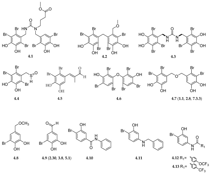 Scheme 4