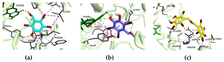 Figure 6