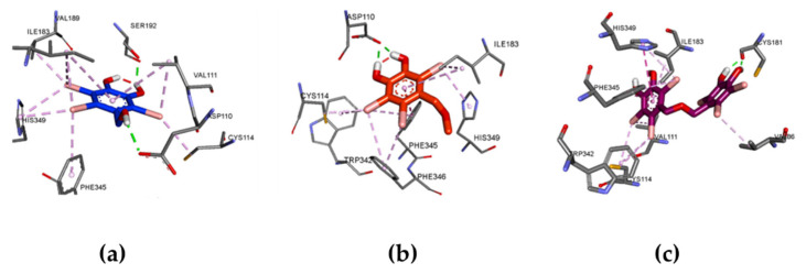 Figure 7