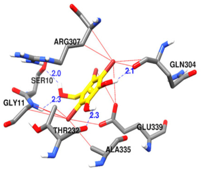 Figure 4