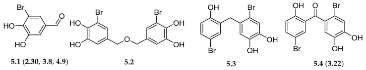 Scheme 5