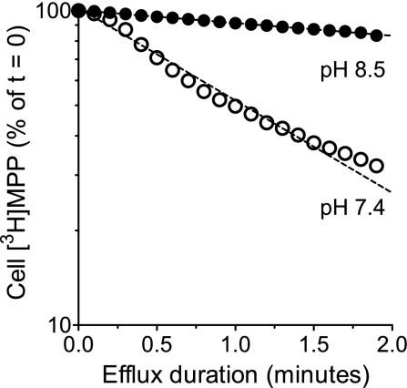 Fig. 5.