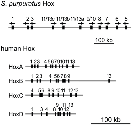 Fig. (3)