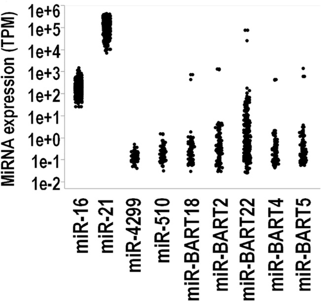 Fig 5