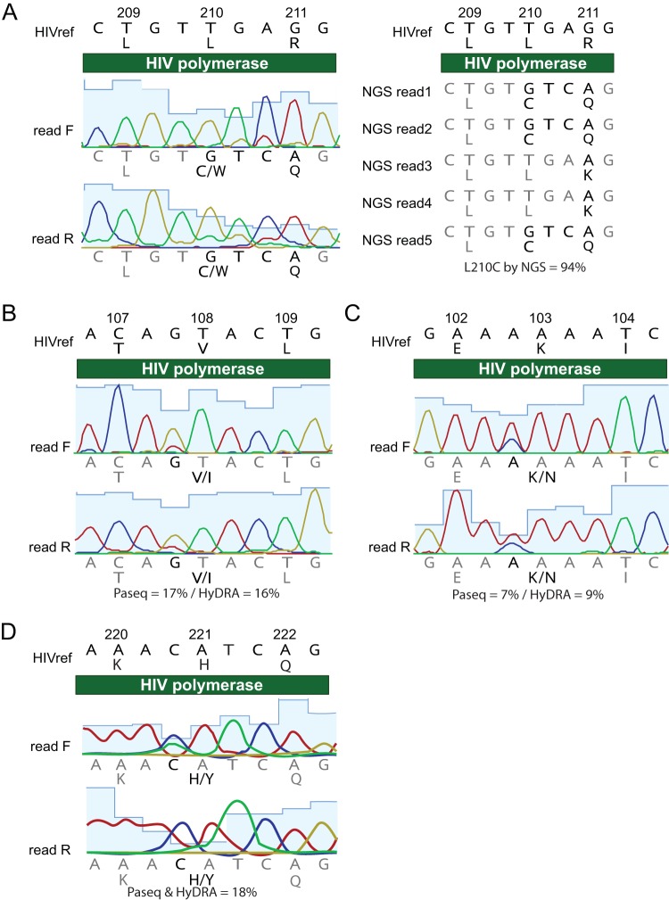 FIG. 3