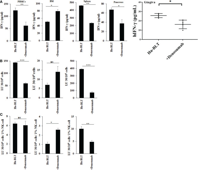 Figure 6