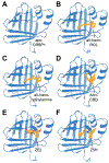 Figure 3: