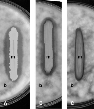 FIG. 3.