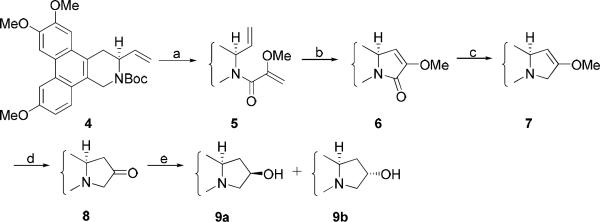 Scheme 2