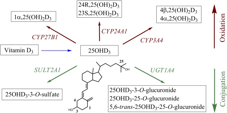 Fig. 8.