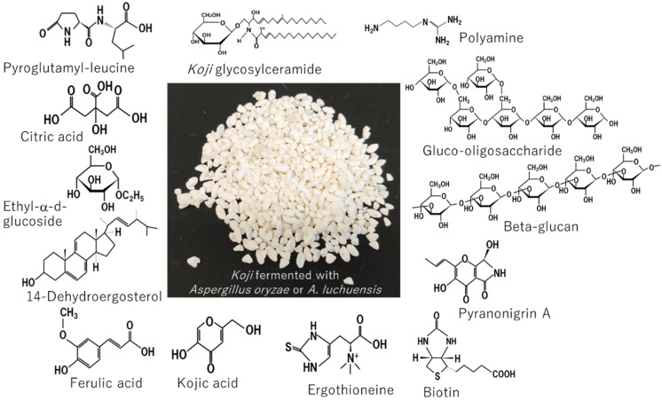 Figure 15