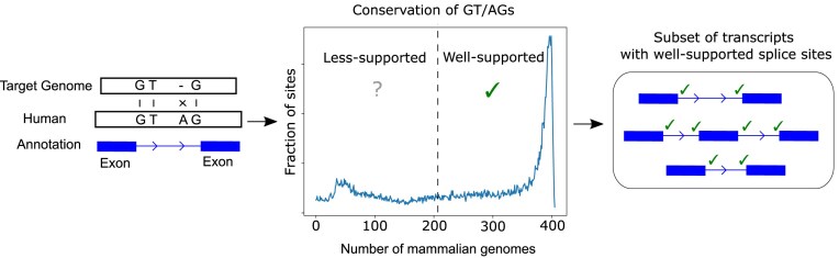 Graphical Abstract