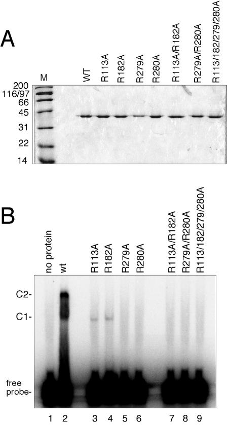 FIG. 5.