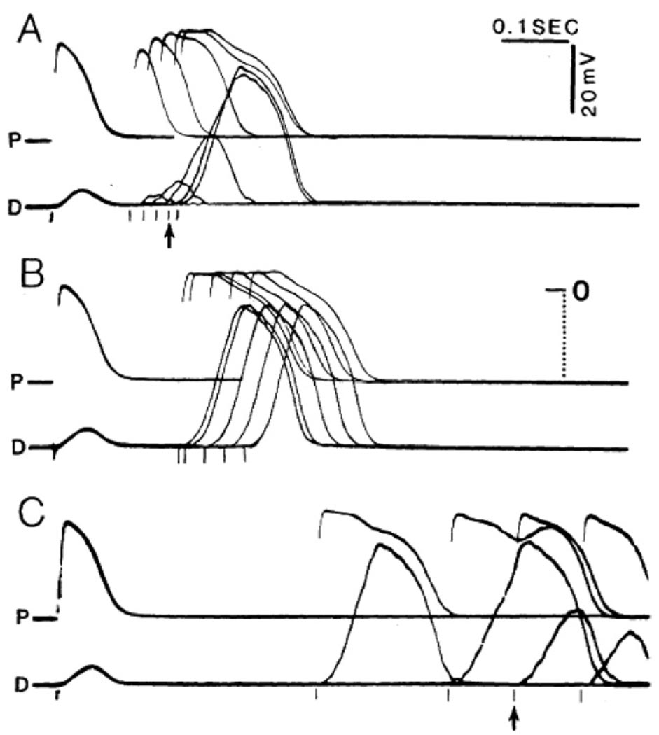 Figure 8