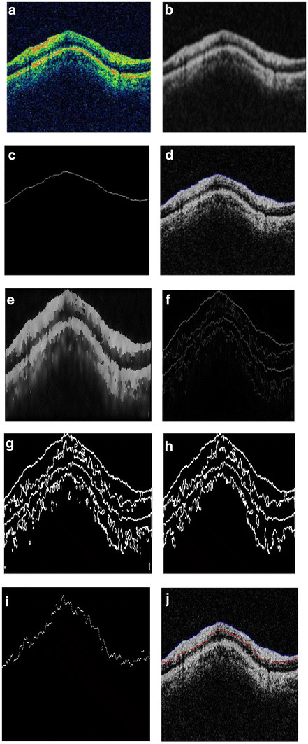 Figure 10 