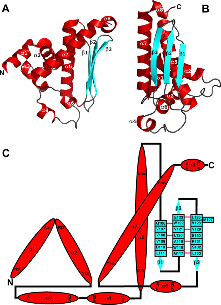 Fig. 2