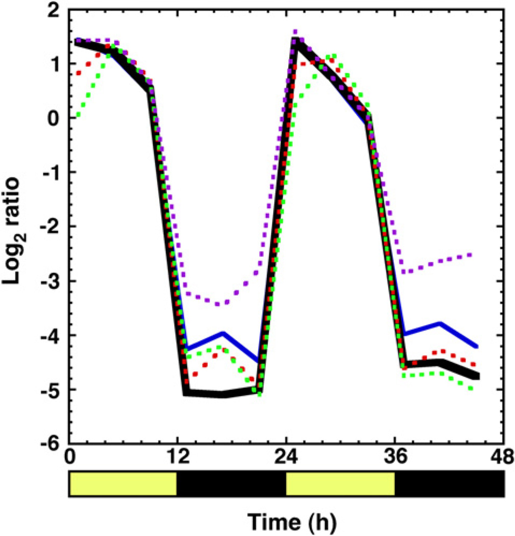 Fig. 6