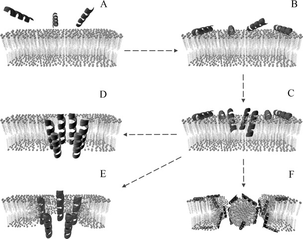 Fig. 2