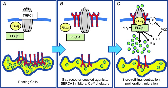 Figure 12