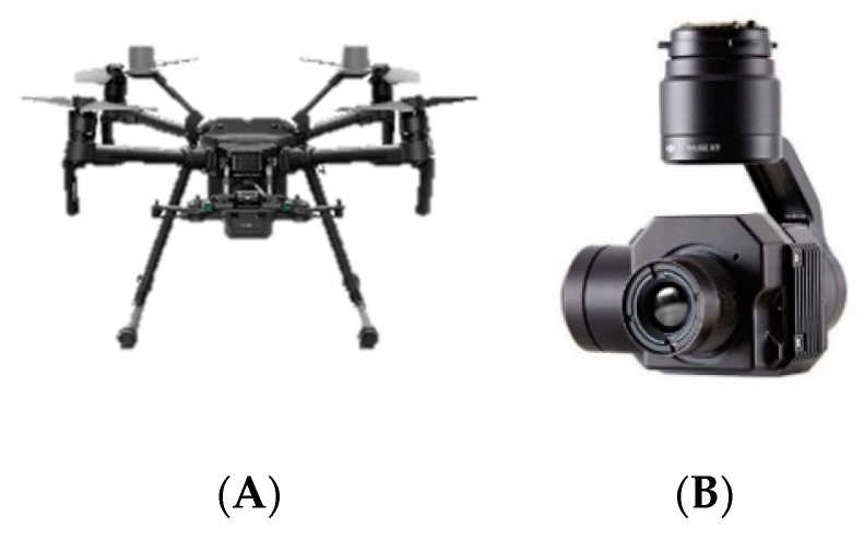 Figure 19