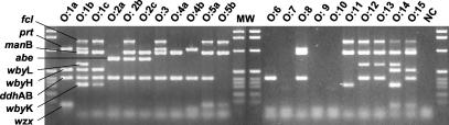 FIG. 5.