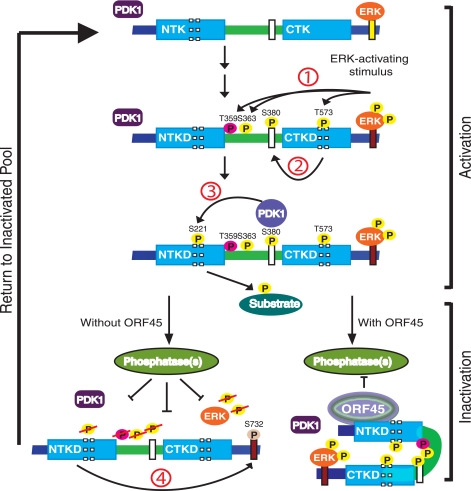 FIGURE 7.