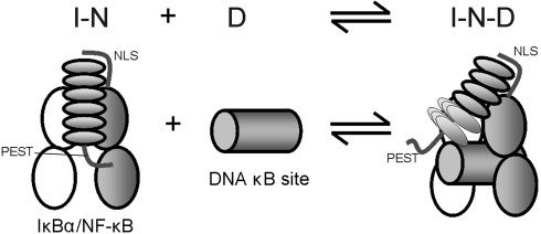 Fig. 5.