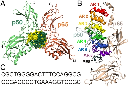 Fig. 1.